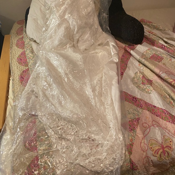 David's Bridal Beaded Lace Sheath Wedding Gown w/Embroidery Waist - Picture 7 of 11